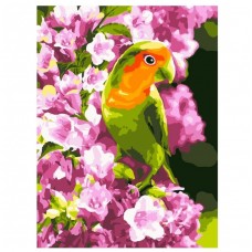 Кпн-014 Картина по номерам "Весенний попугайчик"